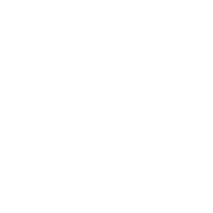 Mecklenburg County seal — Safer Meck home